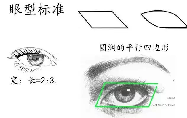 眼部美学：教你如何选择合适的双眼皮
