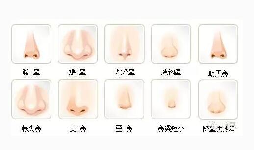 上海假体隆鼻需要多少钱