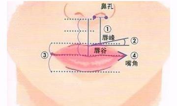 上海丰唇的方法是什么