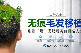 上海美莱植发优惠包99元（200根高精植发+专业头皮检测）