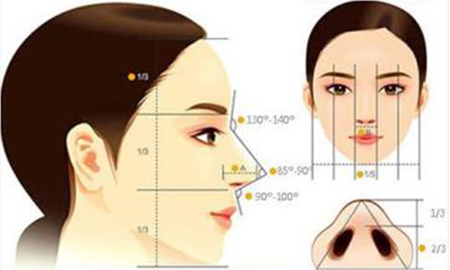 上海做假体隆鼻整形手术需要多少钱