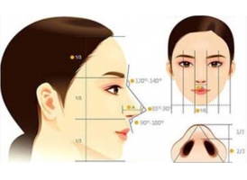 隆鼻整形和鼻子综合整形有什么区别