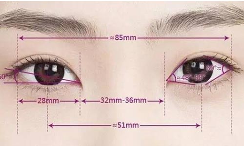 眼综合整形和全切双眼皮区别是什么