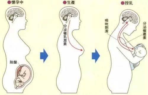 上海做假体隆胸整形会影响到以后哺乳吗