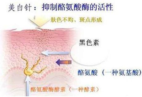 美肤针的价格是多少，听听上海美莱医师怎么说！