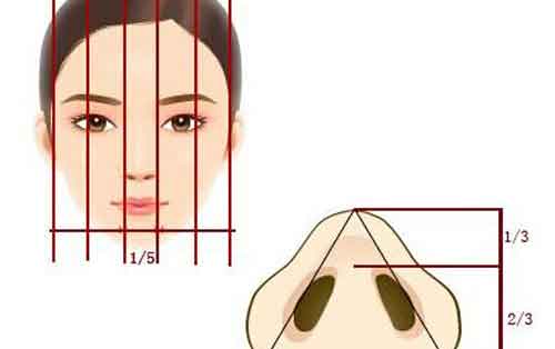 上海医院:鼻头整形需要多少钱?
