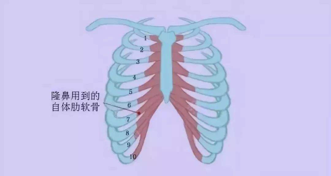 上海整形做全肋软骨和半肋软骨到底有什么不一样？