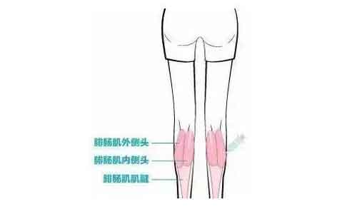 上海小腿吸脂可以瘦多少厘米?