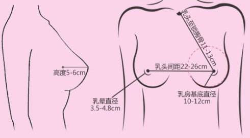 上海隆胸手术有哪些方法？自己是否适合呢？