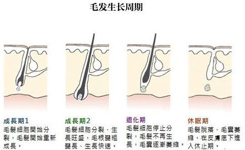 上海美莱医生讲解冰点脱腿毛的效果怎么样！