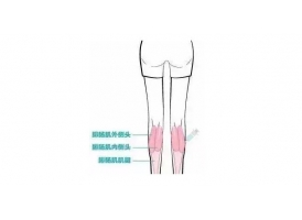 上海美莱微整形：经常捏小腿肌肉会瘦吗